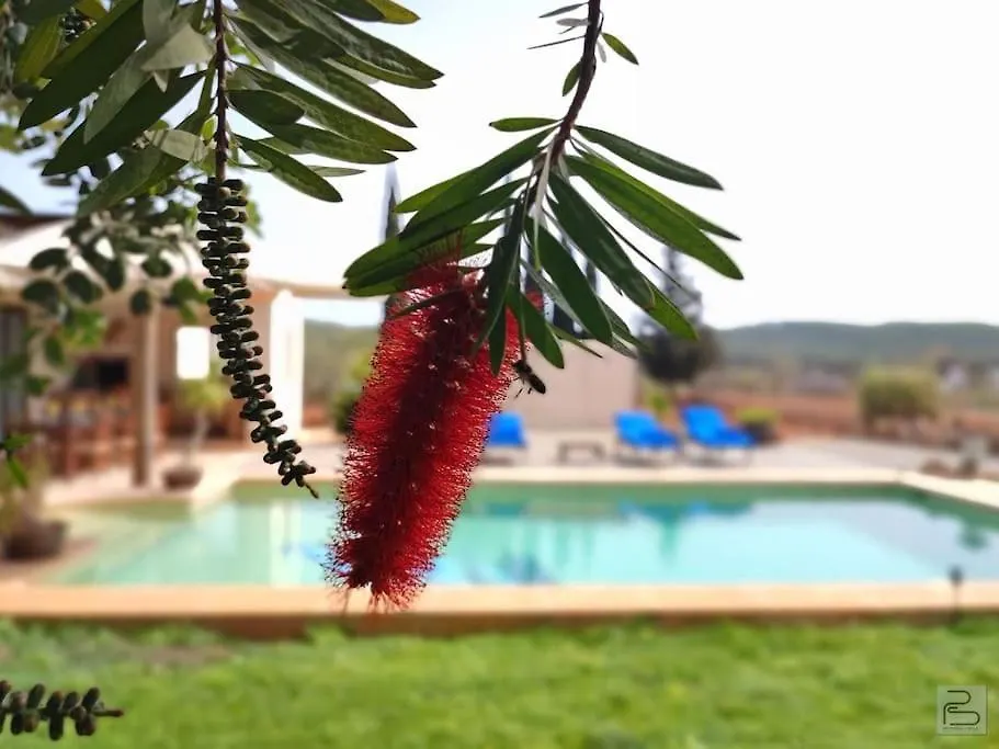 Casa Bet Con Piscina Y Jardin. Βίλα Sant Miquel de Balansat 0*,